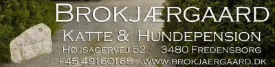brokjaergaard.dk logo