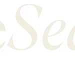 CoreSearch Vision A/S