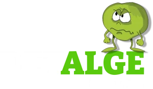 detalge.dk logo