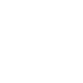 dvdc.dk logo