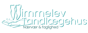 himmelevtand.dk logo