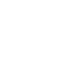 Horton International