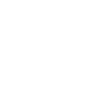 Human Skills
