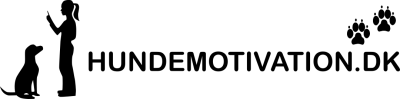 hundemotivation.dk logo