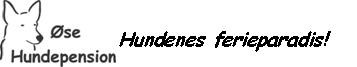 hundepension.nu logo