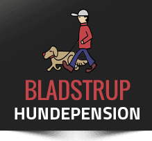 hundepension-odense.dk logo