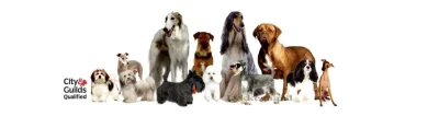 lykkegaardhundesalon.dk logo