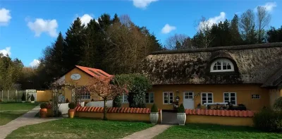 mariannes-hundepension.dk logo