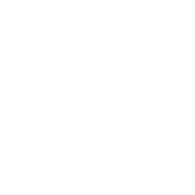 pax.dk logo