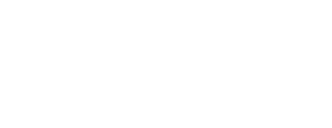 peopleexecutive.dk logo