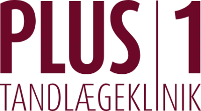 plus1.dk logo