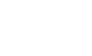 raiseagency.dk logo