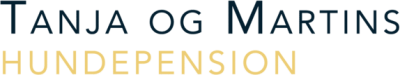 richriesen.dk logo
