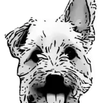 Rooms for Dogs
