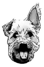 rooms-for-dogs.webnode.page logo