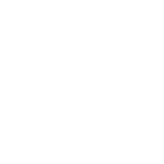 Shark & Co.