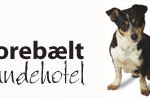 Storebælt Hundehotel