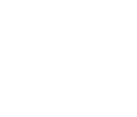 transform.dk logo
