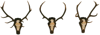 vejbaekhus.dk logo