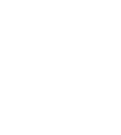 vikingdata.dk logo
