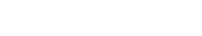zippsystems.dk logo