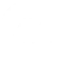 zmgroup.dk logo